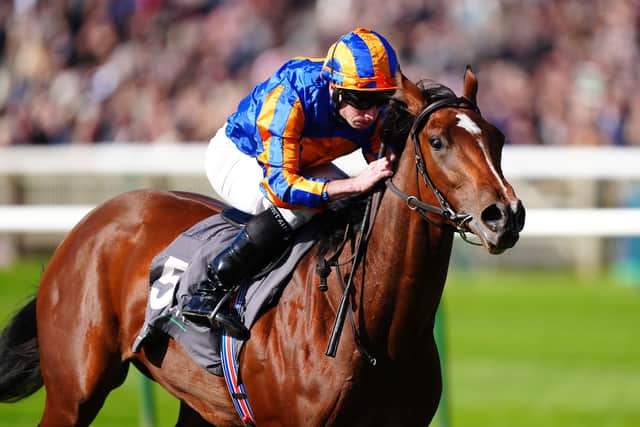 The former arrives unbeaten and having proven her versatility by winning Group Ones at both six and seven furlongs of late, she now bids for a third straight success at the highest level – this time at a mile.