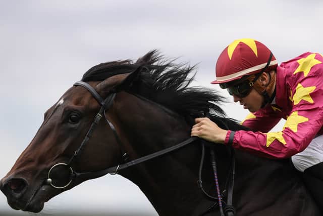 “We’ve trained him with an autumn campaign in mind. Last year it was a slowly-run race but we were happy with his run, we always had it in mind that he would be better this year and hopefully prepare better for the race.”