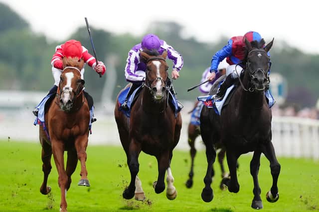 “We’ve been very happy with Los Angeles since the Irish Champion Stakes. We were hoping if he finished in the first four that would be good enough to run in the Arc and that’s what he did.