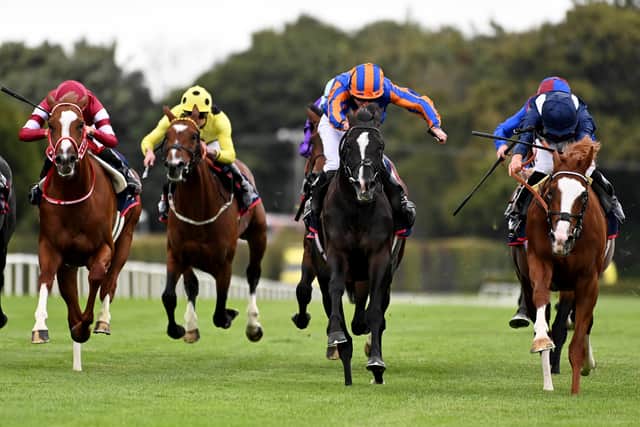 It is no secret the Arc is greatly revered by the Japanese and this year their hopes are pinned to Shin Emperor, who made his first start in Europe when a gallant third in the Irish Champion Stakes.