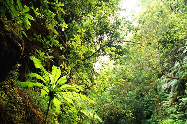 1. Jackson Groves’ suggestion: The Azores