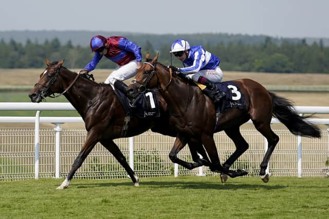 The first three in the ante-post betting are all trained at Ballydoyle.