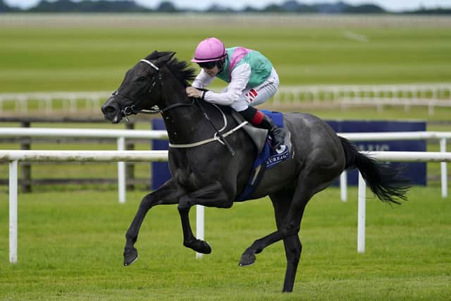 Frankel filly Red Letter, who finished a close second to Aidan O’Brien’s Lake Victoria on debut before going one better at the Curragh, could also bid for top-level honours on her next start in the Moyglare Stud Stakes on September 15, but she will also have a Listed option at Leopardstown the previous day.