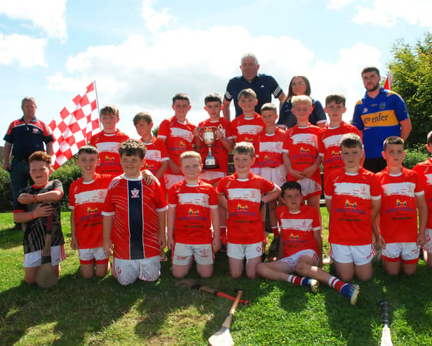 Roscrea U-10 hurlers winners of the Fiona Phelan Blitz Perpetual Cup at the blitz held at St Cronan's Park, Roscrea.