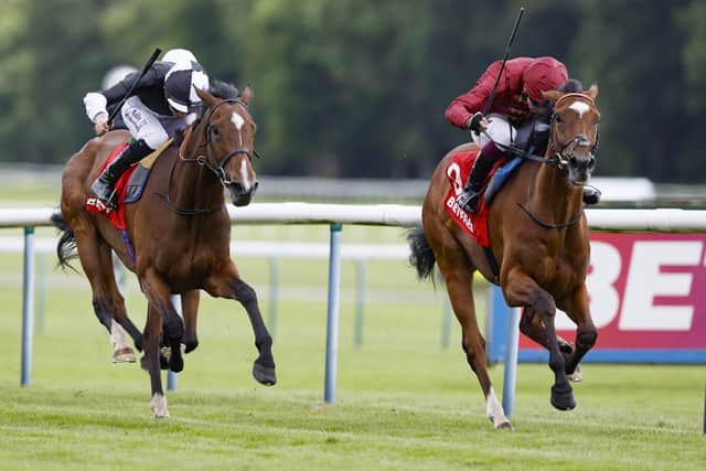 “However, I think the filly is exactly where we want her at this stage.”