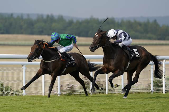“It looks a nice opportunity and hopefully it will be quick ground and we’re looking forward to running her.”