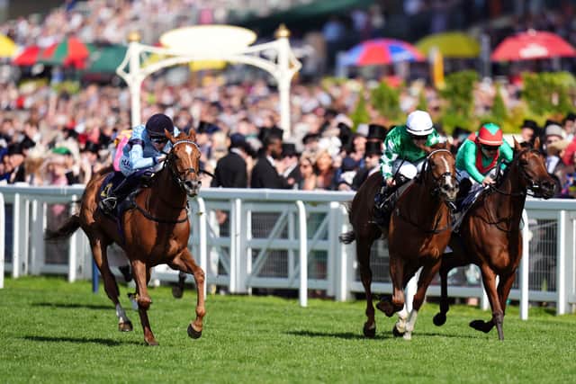 Soprano holds an entry at Leopardstown in the Coolmore America “Justify” Matron Stakes next month, with Boughey admitting that race is a possibility with the filly warranting her chance to prove her quality at a higher level.