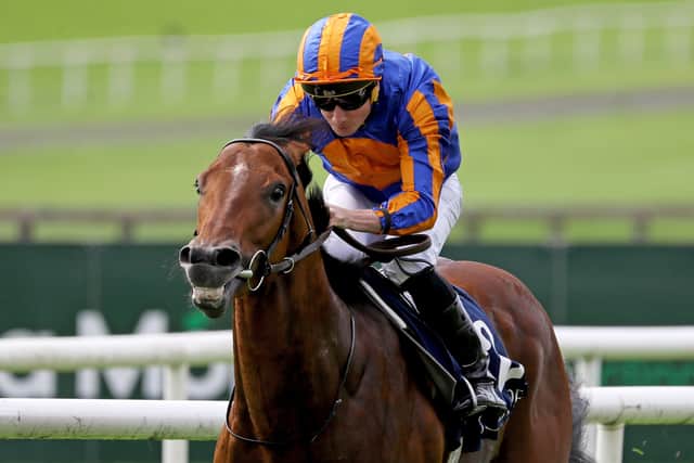 “He is a really nice horse and we will try to keep him with us as long as possible.”