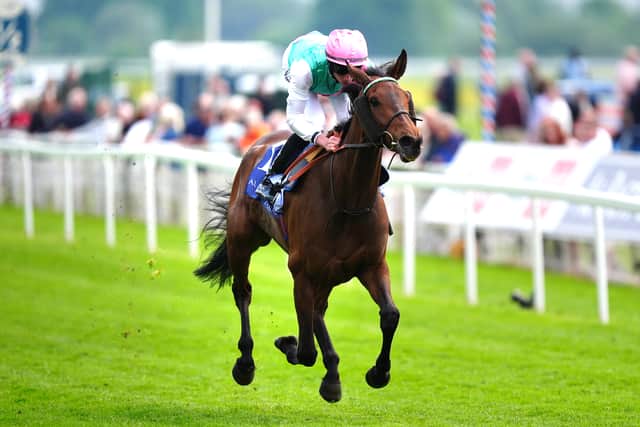 “In fairness the winner was very good and very well produced by Francis Graffard, but she has beaten some top-notchers in Auguste Rodin, Luxembourg, Rebel’s Romance and many more there – they were the cream of the crop of the older-age middle-distance horses.”