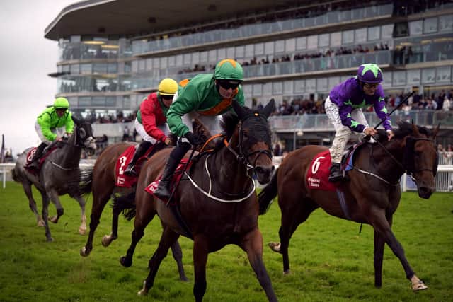 Dunum had tracked him all the way and seemed sure to pick him up, but inside the final furlong his challenge floundered and it was left to Hurricane Ivor to lay down the final challenge, but he went down by half a length.