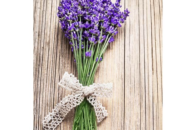 “This adds a delightful pop of colour and a calming fragrance to your living space, making it feel extra cosy and inviting.”