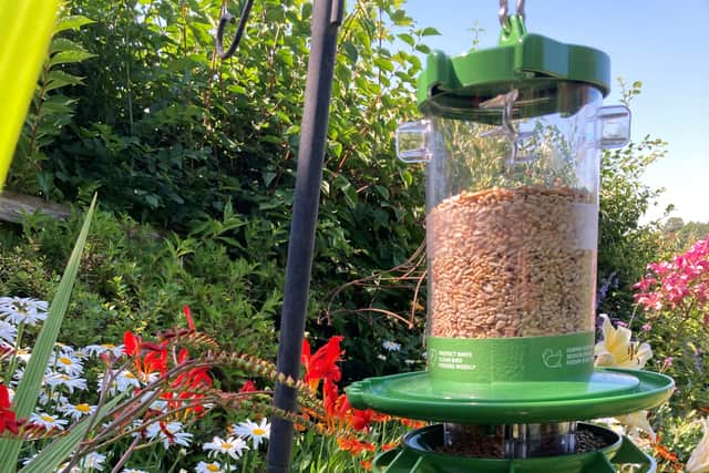 1. Finches Friend Cleaner Feeder 1 (£44.99, Finches Friend)