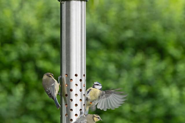 3. RSPB Ultimate easy-clean Cheater Feeder (£30, RSPB)