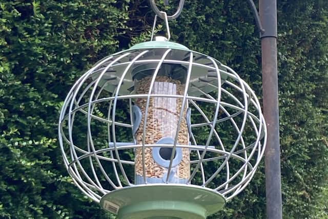 4. The Nuttery Helix Seed Feeder (£35.75, Ark Wildlife)