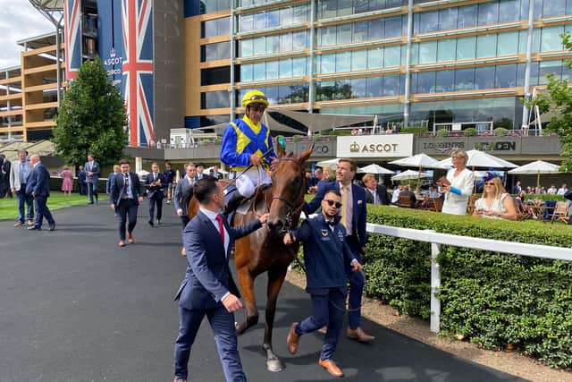 “When you come and you are around 28-1, you feel you might look like a fool and you don’t want that, but I think some punters will be happy now.”