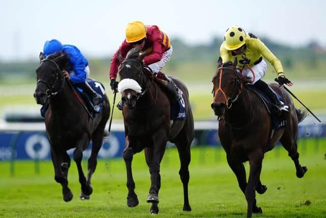 Although still a maiden, Andrew Balding’s Tropical Storm could be the one to pose The Strikin Viking the most problems.