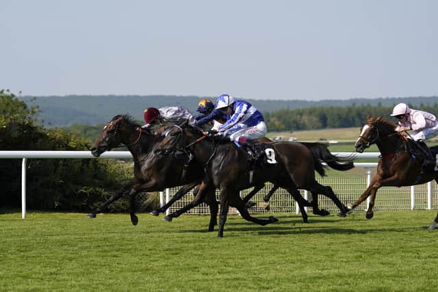 “If you watch the race at Ascot, he ran huge that day but he did too much and moved too early in the race. Today it was very important that he hit the line strong.”