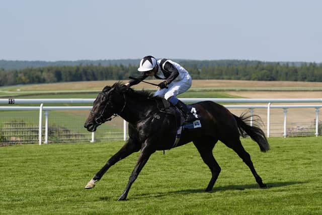 “We always thought this filly would graduate, but we will see. I think we will stick at this distance and there is a race for her at York’s Ebor meeting.”