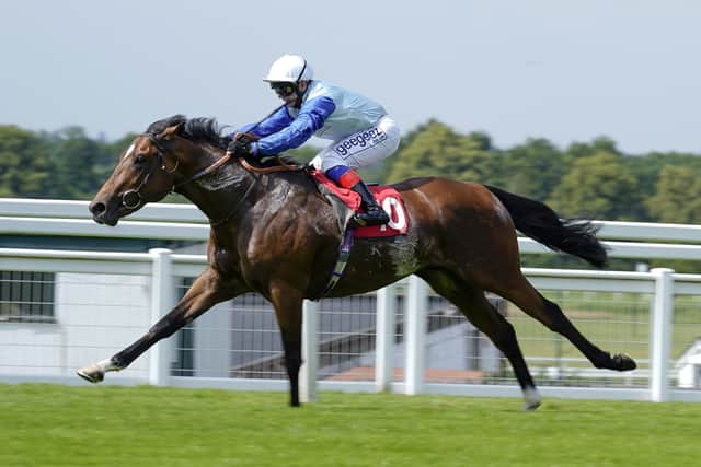“He’s been pretty unlucky not to win three Lennox Stakes, but he loves it there, he really does. He’s come out of the July Cup in good form, so we’re looking forward to it.”