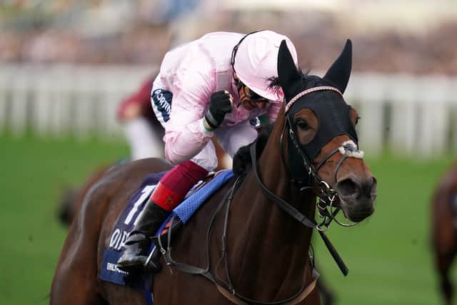 Her entries for later in the year are back up at a mile and a half, although following her brave effort in defeat in the Pretty Polly connections are happy to roll the dice once again over a mile and a quarter.