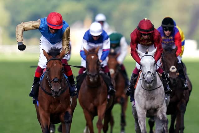 The duo’s stablemate and Gold Cup runner-up Trawlerman is not in the mix, but the Clarehaven team are happy with their chosen representatives in the Group One event, with the pair both being winners at the track previously.