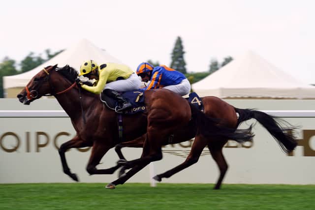 “I am very happy with him now, we are looking forward to coming back.”