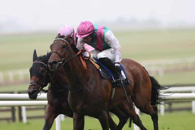 Top-notch filly Bluestocking is set to take her chance for Ralph Beckett and Juddmonte, having got off the mark at Group One level in the Pretty Polly Stakes at the Curragh.