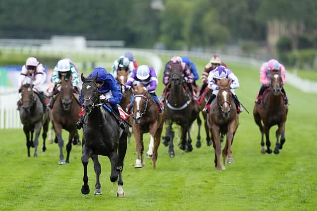 Sent to the front with the one-furlong marker approaching, he scorched five and a half lengths clear of his nearest pursuer in the closing stages to earn quotes of 12-1 for both the 2000 Guineas and Derby from Paddy Power and Betfair.