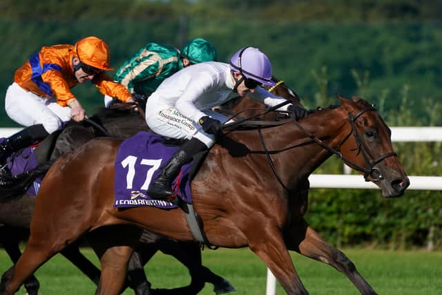 There was a major upset in the Irish EBF Median Sires Series Fillies Maiden when a host of blue-blooded youngsters were eclipsed by 80-1 longshot Latin Fever.