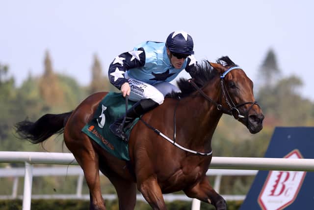 Initially bought with the prestigious Golden Eagle in mind, connections now need to decide over which distance she may flourish in the southern hemisphere.