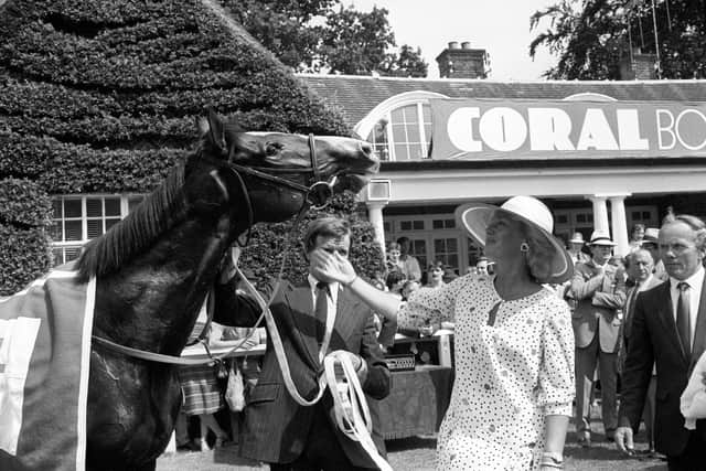 However, even such a distinguished record on the track would be surpassed once stepping into the breeding sheds for a stallion career that would make him one of the most influential sires of all time.