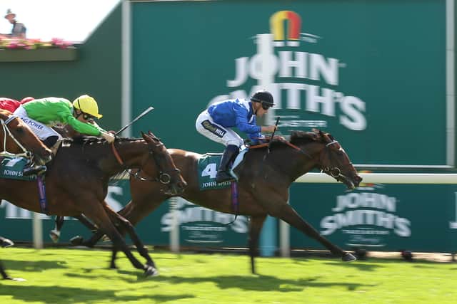 “He’s in the Juddmonte International with Alflaila, he’s a high-class horse on his day so well try to find a race for them both.”