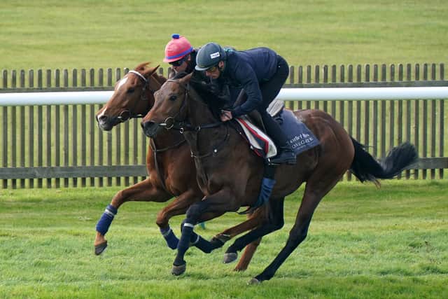 Meanwhile, Hills is looking forward to returning Cicero’s Gift to the track after over a year on the sidelines.