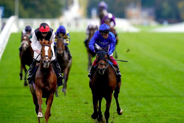 John and Thady Gosden’s Gregory is seen as his main threat. Winner of the Queen’s Vase last year, he has stepped into the breach to fill the void left by injured stablemate Courage Mon Ami, winner of the race 12 months ago.