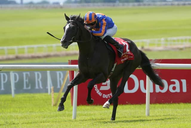 “It will be very hard to take on colts like Auguste Rodin and a filly like Inspiral who has changed distance. But we hope Blue Rose Cen can run a really good race.”