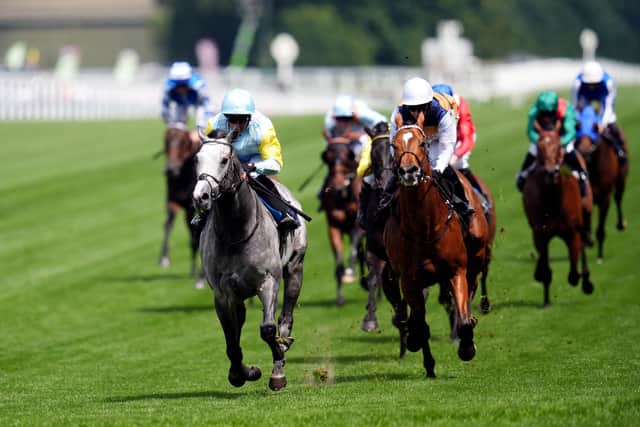 As Docklands carries the colours of Australian-based owners OTI Racing, he is set for a trip to the southern hemisphere later in the year.