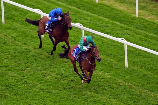 “If you compare her to War Chimes (placed in the Oaks), it is like comparing a diesel to a petrol car. War Chimes is very good, but Tamfana has so much more speed. Tamfana, there is no other horse in a morning who can go with her.”