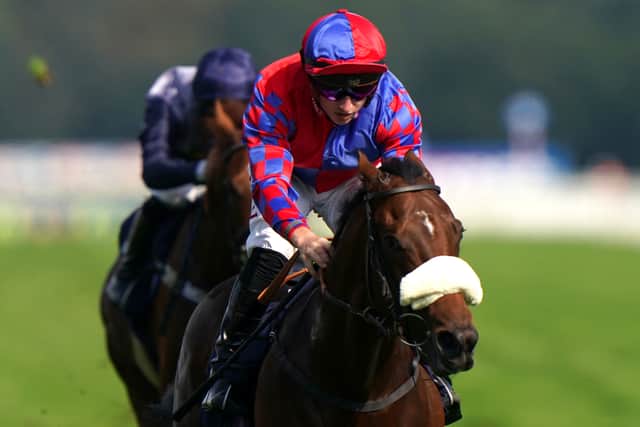 Charyn and his Lockinge conqueror Audience are also involved, with the latter getting the nod to be the sole representative of John and Thady Gosden and owners Cheveley Park Stud in Inspiral’s absence.