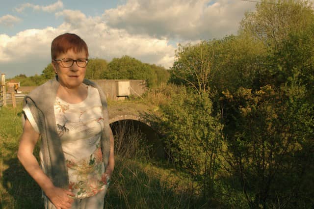 Barbara Daly, Fianna Fail candidate