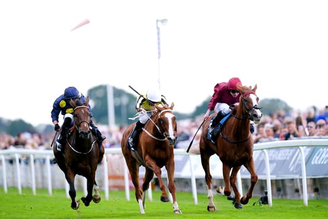 He said: “She was a really progressive filly last year and she battled really hard when she won at York.