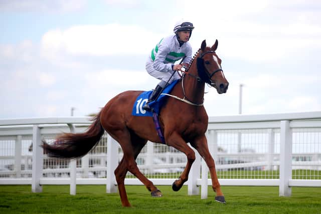 Madame Ambassador has run three times since then and heads to Haydock in peak condition having found the scoresheet in the Listed Rothesay Stakes at Ayr 17 days ago.