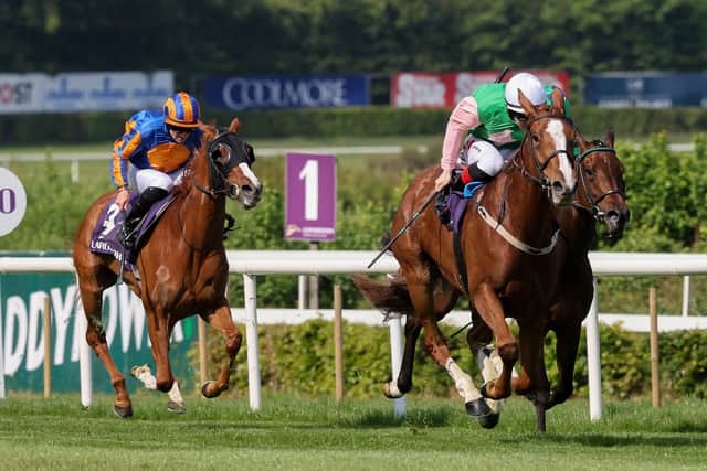 The three-year-old is Wathnan’s first horse trained by Willie Mullins and connections are thrilled to link up with the Irish champion jumps trainer.
