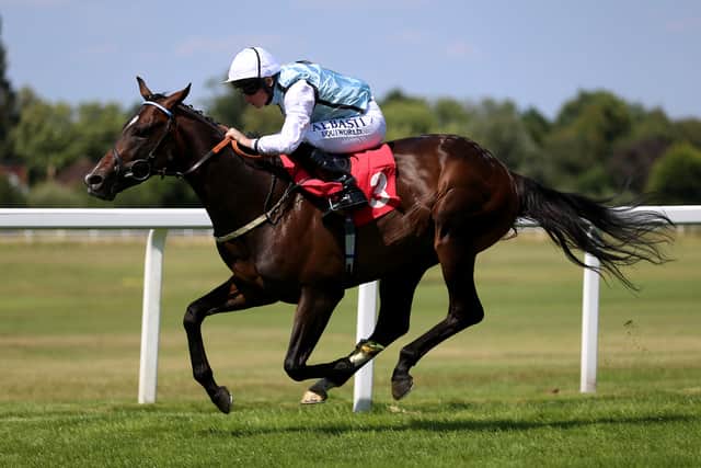 Big Evs back on path Appleby team hopes is paved with sprinting gold