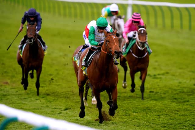Hannon is plotting turning the tables on Notable Speech at Royal Ascot with Rosallion, but before the St James’s Palace Stakes enters the equation, both his colts will be given another bite at the Classic cherry at the Curragh later this month in the Tattersalls Irish 2,000 Guineas.
