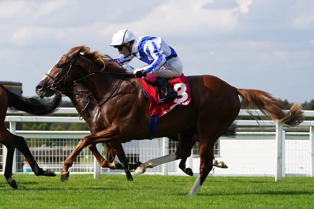 Devil’s Point is another Washbourn-owned member of Menuisier’s string heading overseas for his next outing, with the talented colt booking his ticket to Cologne for the German 2000 Guineas when winning at Goodwood on Friday.