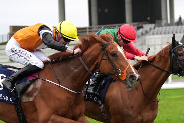 O’Brien said: “It was a fantastic ride. She was quite a hard puller in her races in France and we just had the objective today of getting her settled. We didn’t want her over-racing on her first run of the season and she switched off lovely.