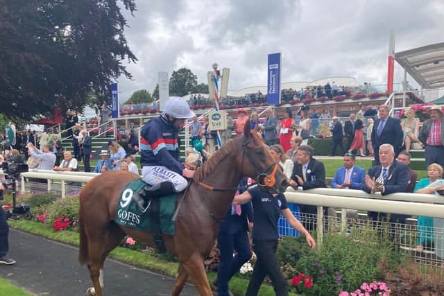 Another star juvenile for the Beechdown Stables team last season was the Kennet Valley-owned Dragon Leader, who suffered defeat just the once in five starts in 2023 as he proved a real money-spinner for connections.