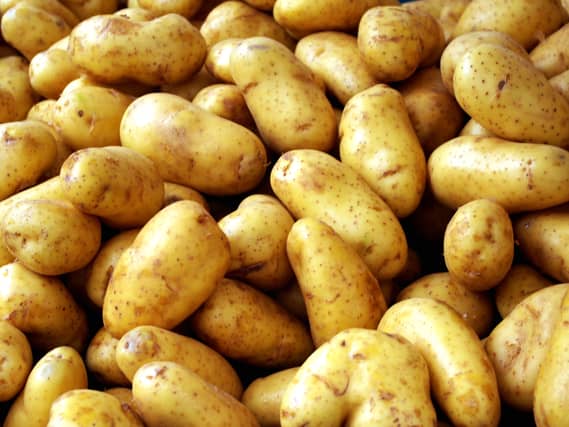 Louth IFA calls for support for potato growers