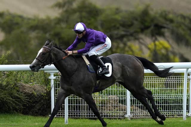 A key member of Kia Joorabchian’s Amo Racing operation, Ffrench Davis also oversaw the two-year-old campaign of Ornellaia in 2023, with the daughter of Night Of Thunder third in the Group One Moyglare Stud Stakes when last sighted.