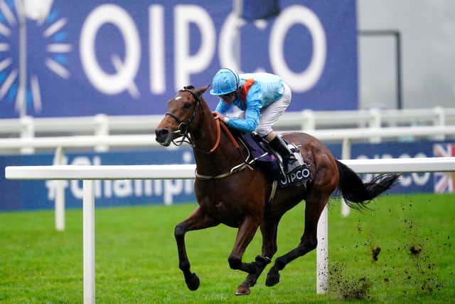 Charlie Johnston fields two contenders, with Qipco Champions Day winner The Gatekeeper joined by stablemate Dutch Decoy.